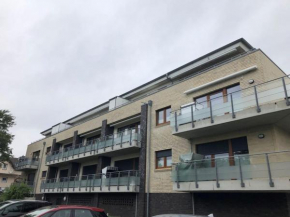 Roses Deichoase Comfortable holiday residence